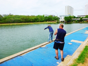 photo 1142868