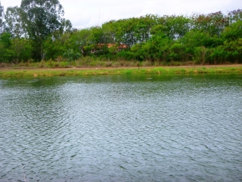 photo 783786