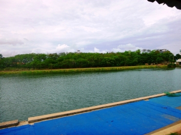 photo 783787