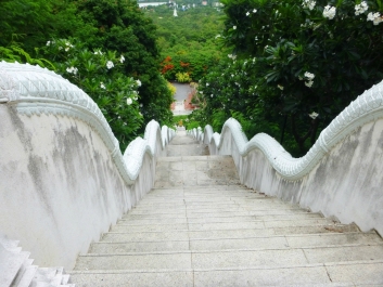 photo 788371