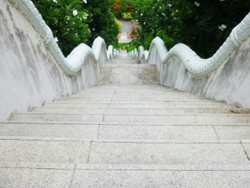 photo 788372