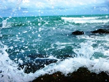 photo 822819