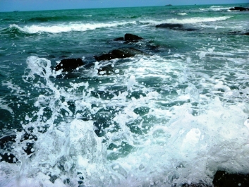 photo 822820