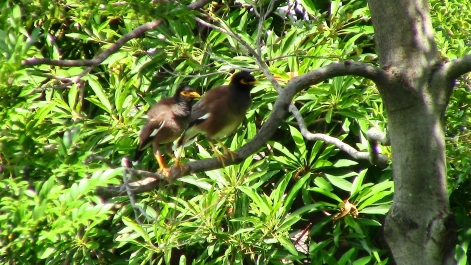 photo 942676