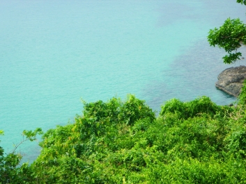 photo 957161