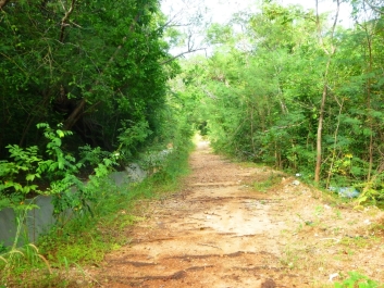 photo 957283