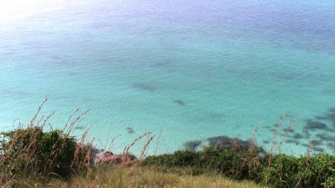 photo 965774