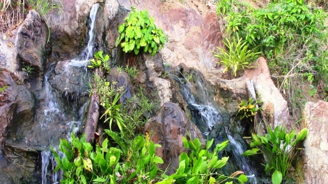 photo 966214