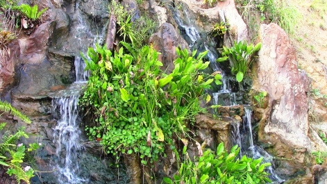 photo 966215