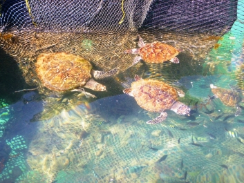 photo 966335