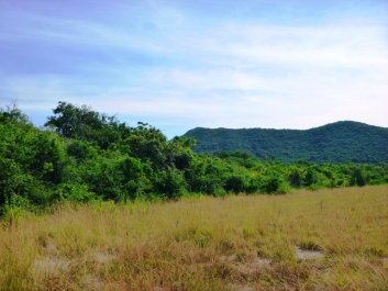 photo 966771