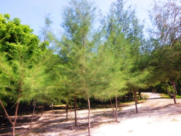 photo 966774