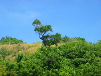 photo 966777