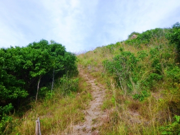 photo 966815