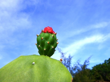 photo 966908
