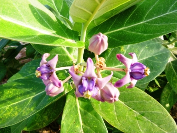 photo 966910