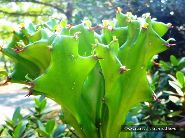 photo 1020404