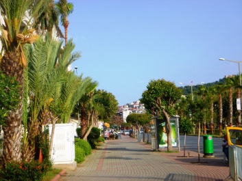 photo 1040304
