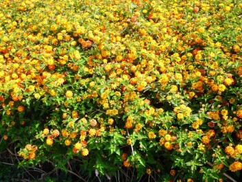 photo 1042691