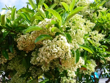 photo 1043452