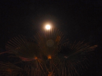 photo 1043543