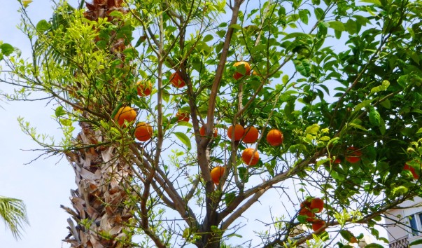 P1050477