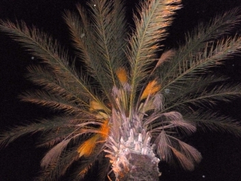 photo 1044198