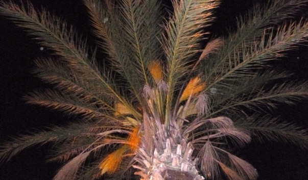 P1050491
