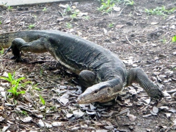 photo 1208352