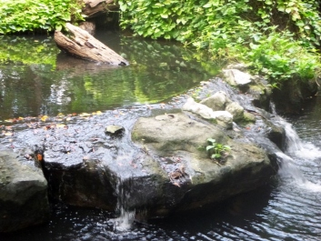 photo 1224873