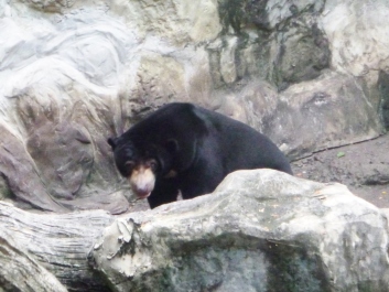 photo 1224874