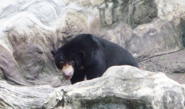 P1060467