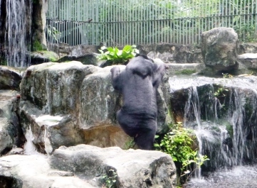 photo 1224875
