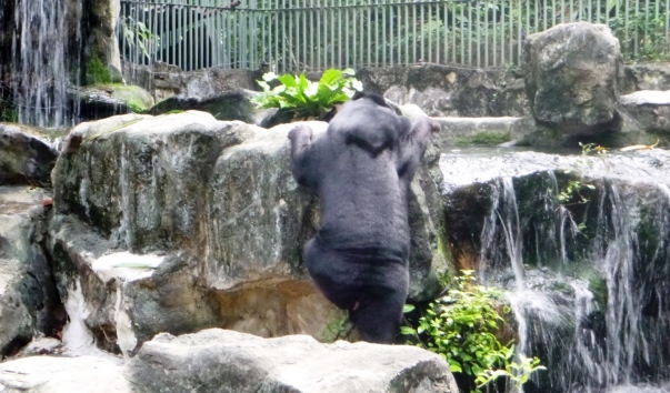 P1060471