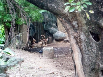 photo 1225055