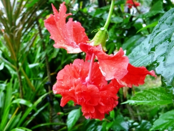 photo 1210844