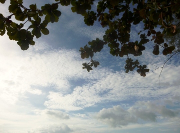 photo 1211549
