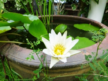 photo 1232034