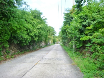 photo 1213623