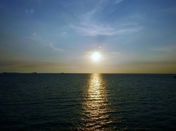 photo 1220582
