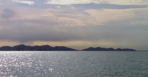 photo 1220593