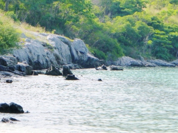 photo 1237260