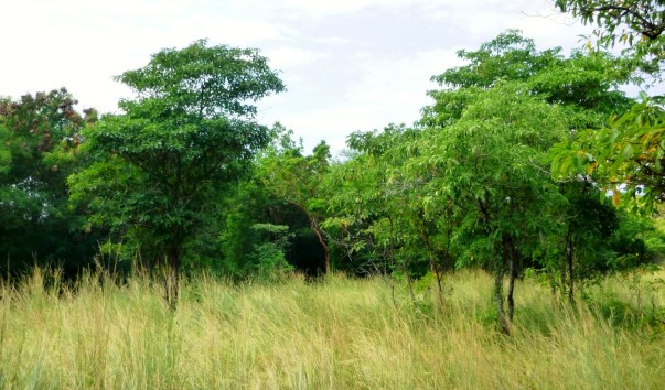 P1070331