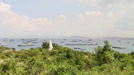 photo 1247544