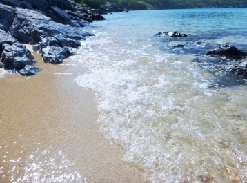 photo 1276169