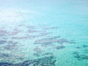 photo 1296562