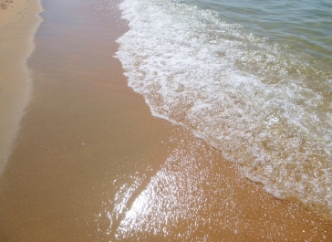photo 1241837