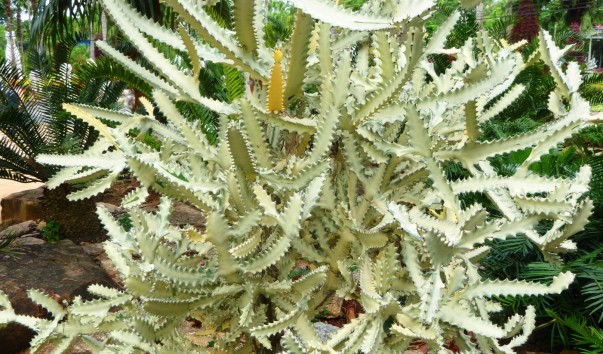 P1070137