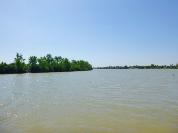 photo 1267417