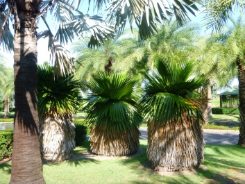 photo 1272267